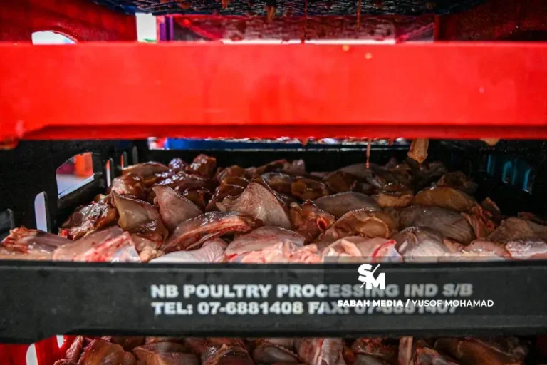 Kisah NB Poultry – Ayam Norliza